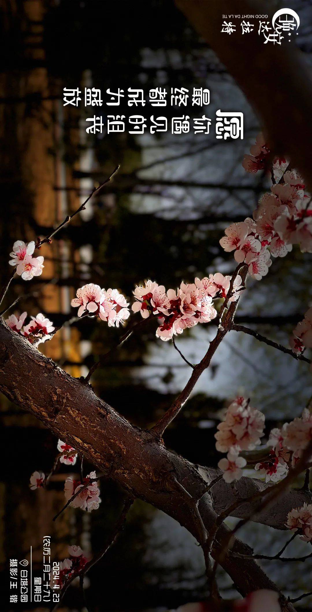 1080_2121竖版 竖屏