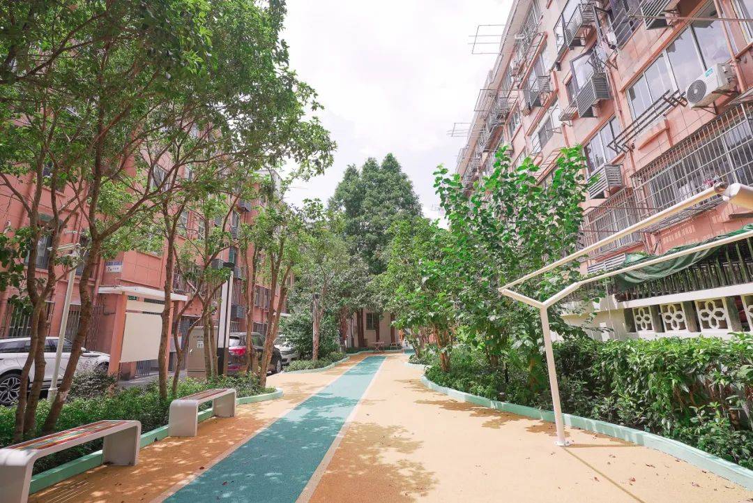 进行时看看金桥爱建园等小区改造