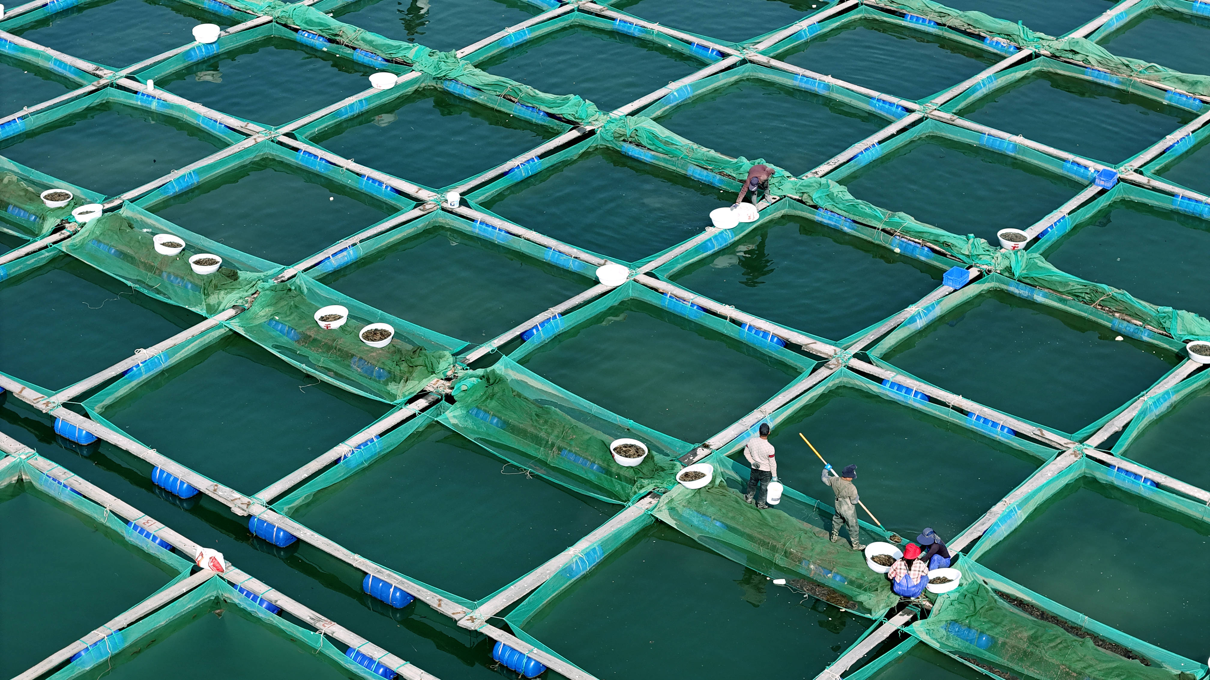 海上捕捞忙_养殖_海洋_杨志礼