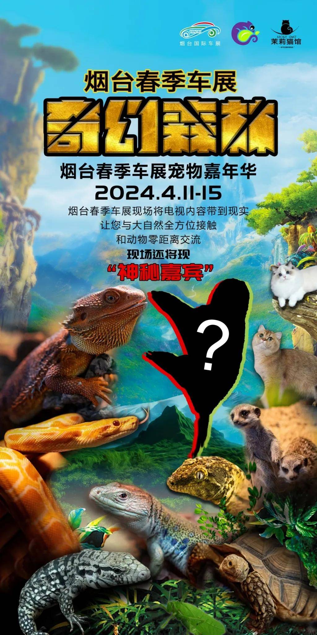 龙口!确定了!_搜狐汽车_搜狐网