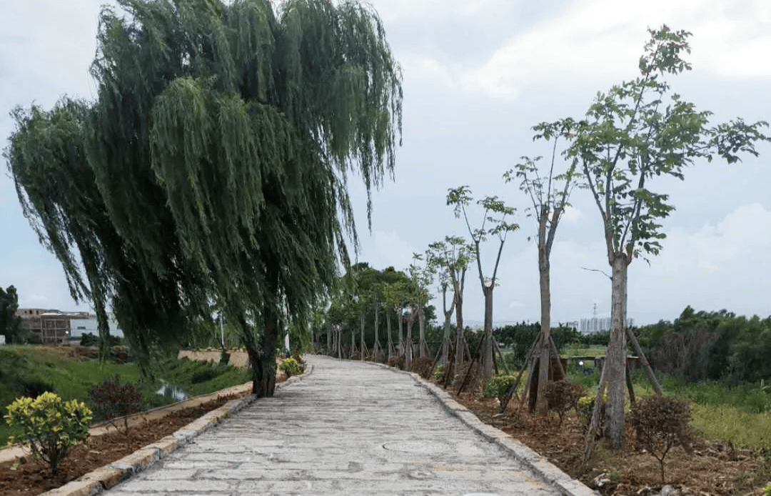 泉州绿盈乡村57晋江市安海镇上垵村生态修复生态产业文明宜居