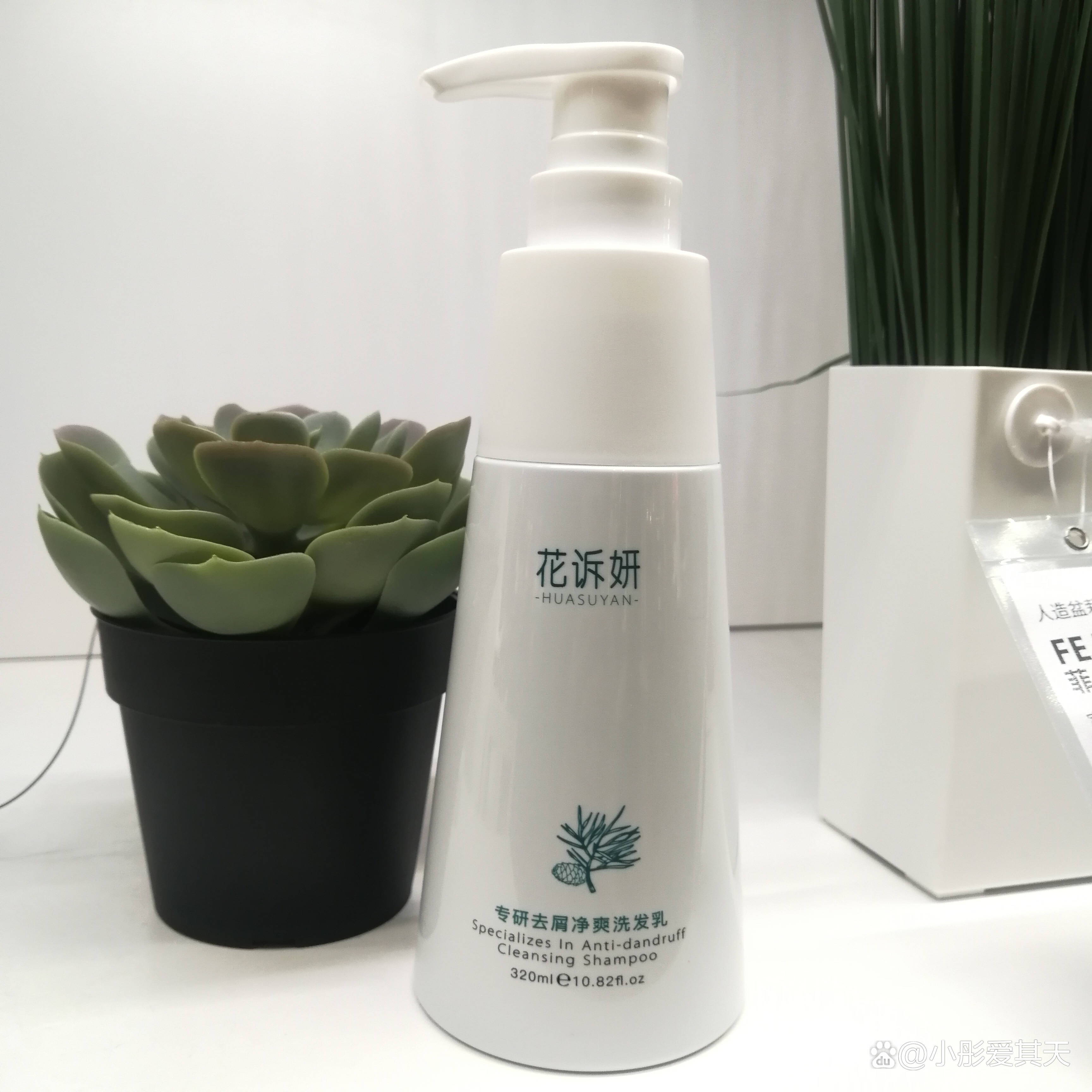 控油去屑洗发水怎么选女士去屑控油洗发水排行榜