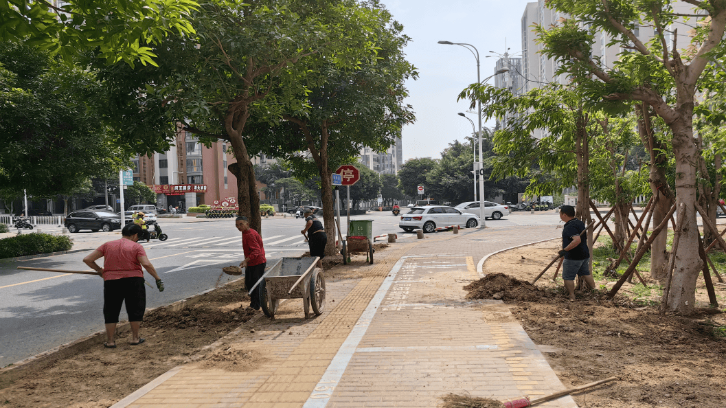 青阳街道开展人居环境薄弱点位整治晾晒比拼