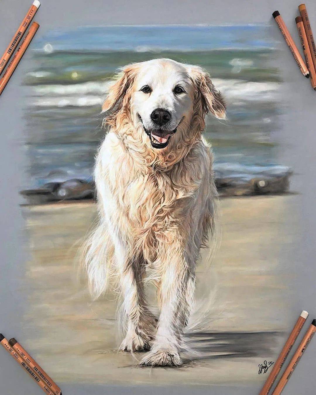 超细腻的动物彩铅手绘作品