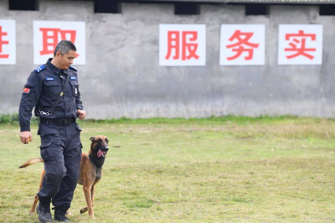 警犬_训练_训导员