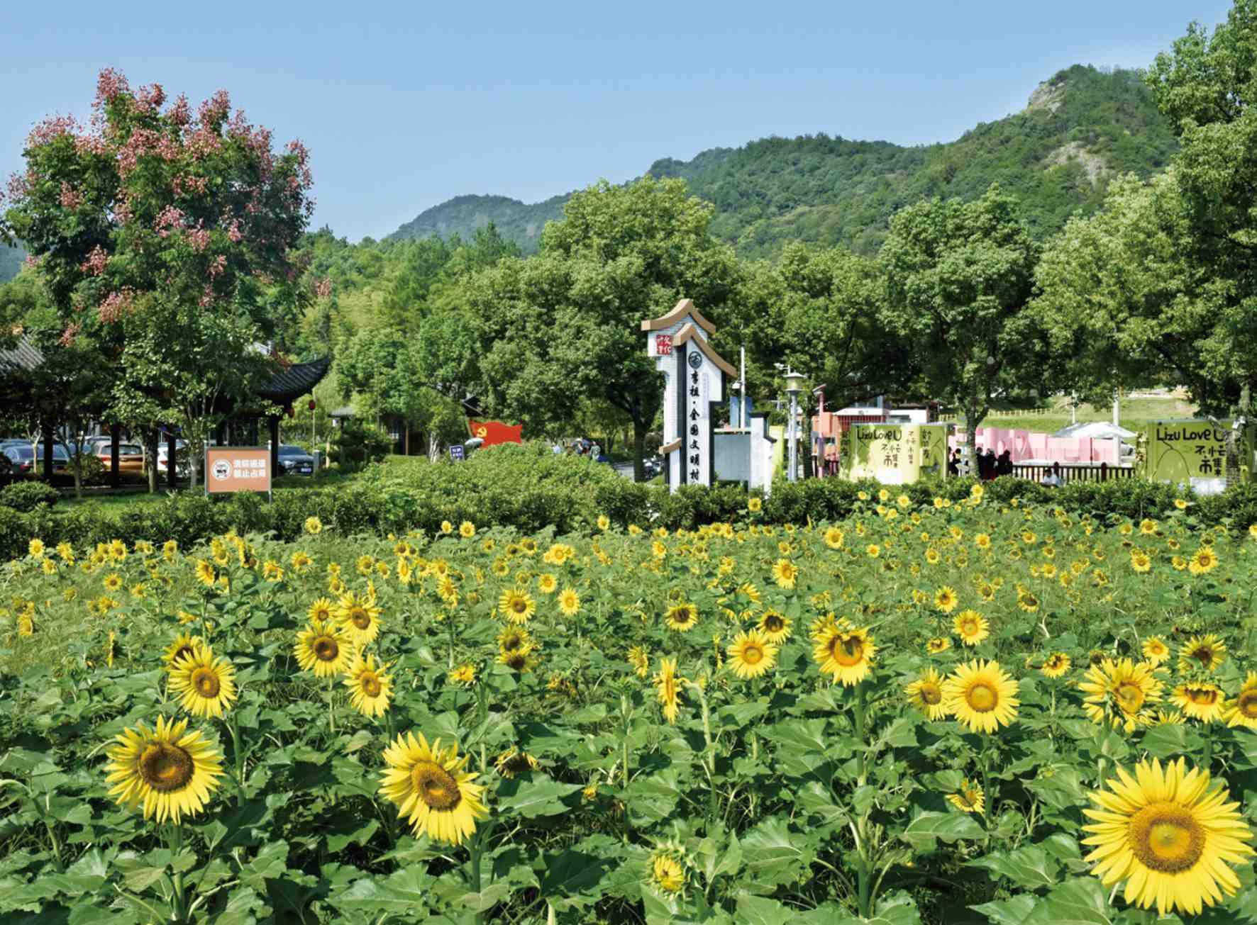 李祖村风光   义乌市委宣传部供图政策宣讲,规划提升,业态扩容