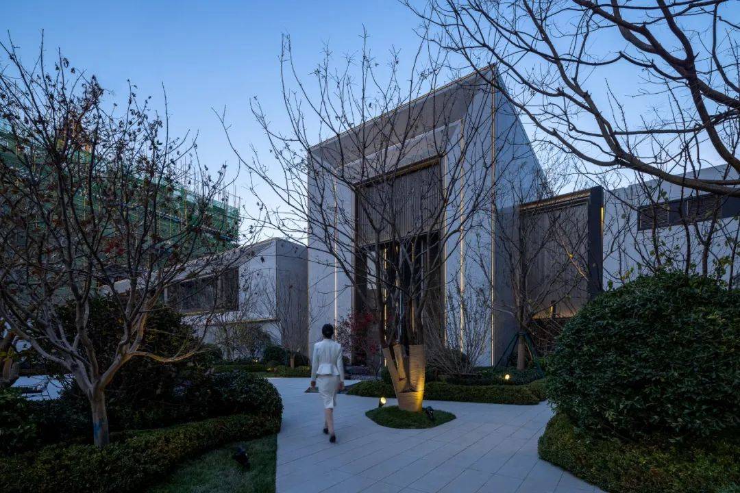 不同场地的种植池设计案例分享,请查看~_品种_乔木_树形