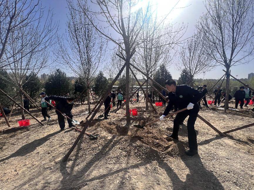 春来植树添新绿 增厚美丽中国“绿色完美电竞家底”