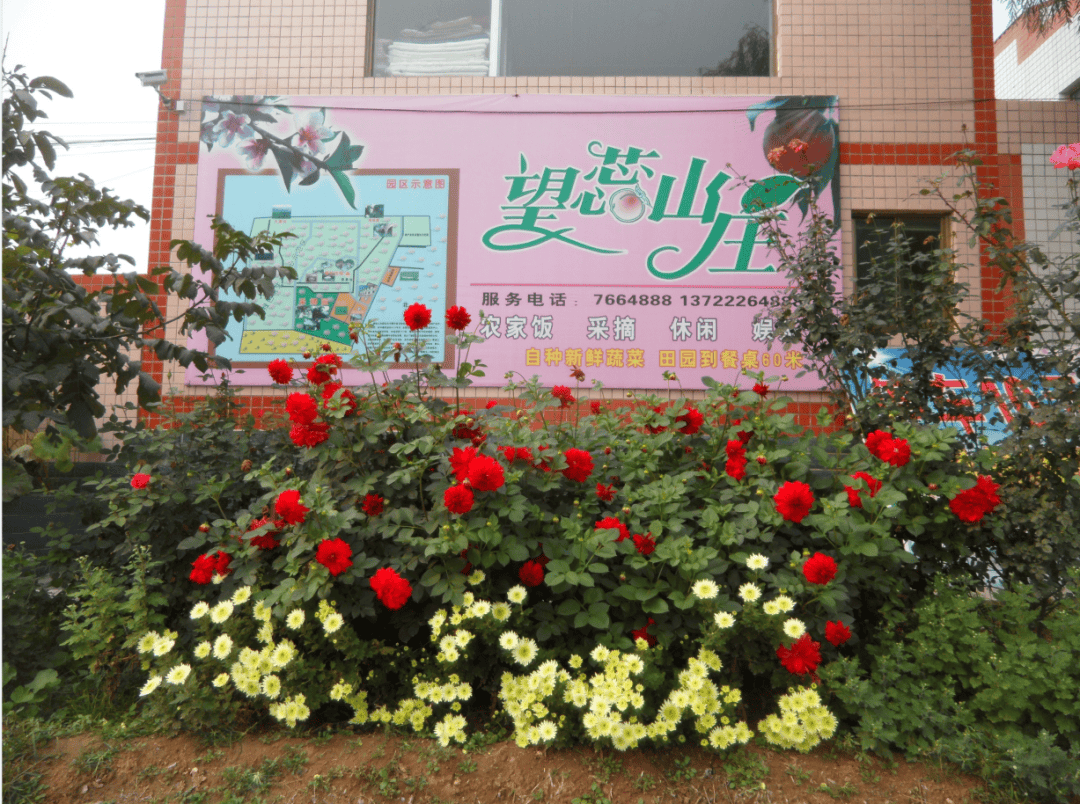 位于顺平县北部台鱼乡,主要从事农家餐饮,住宿,鲜桃种植,销售,果品