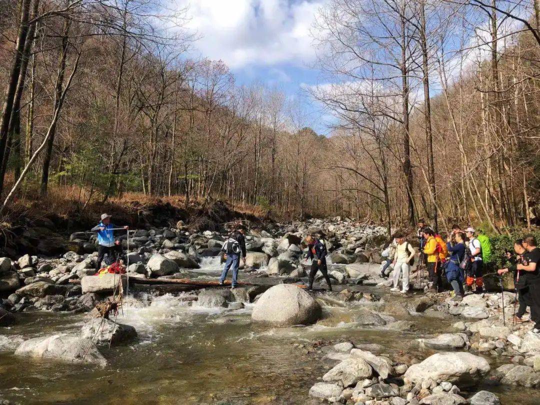 本周活动合集秦岭花海户外徒步休闲踏春邂逅醉美春光