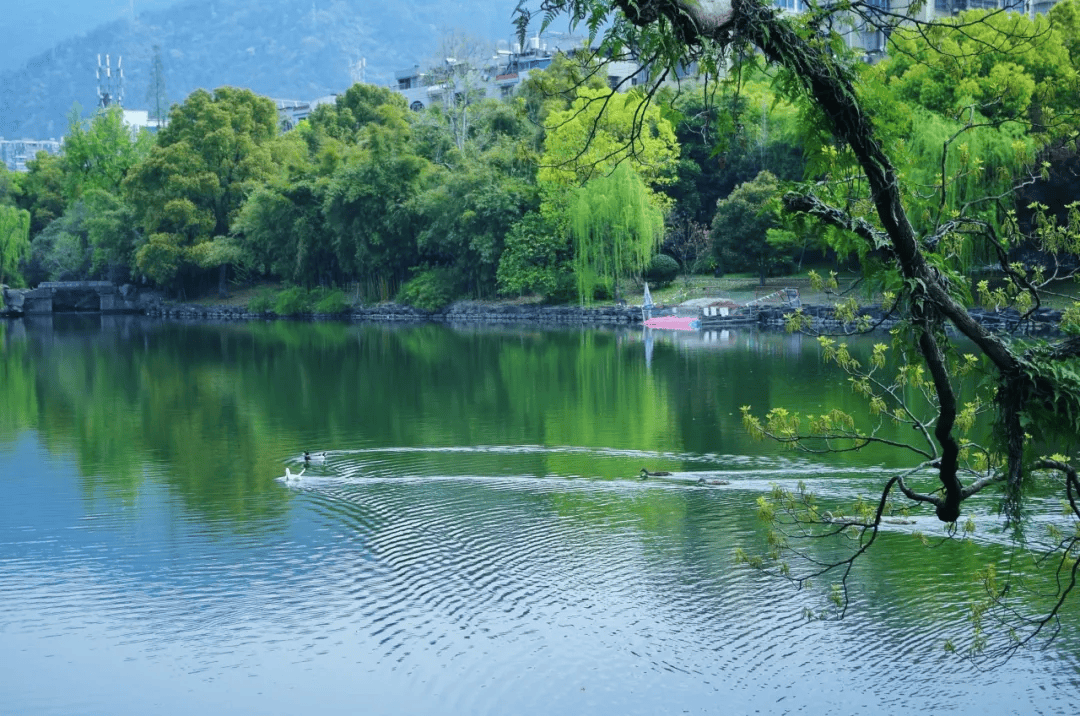 若是想上春山,便可漫步登上巾山,春日草木复苏,山景亦迷人