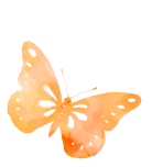 活动_仪式_孩子