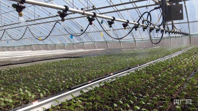 智慧农业种植尽显科技范儿