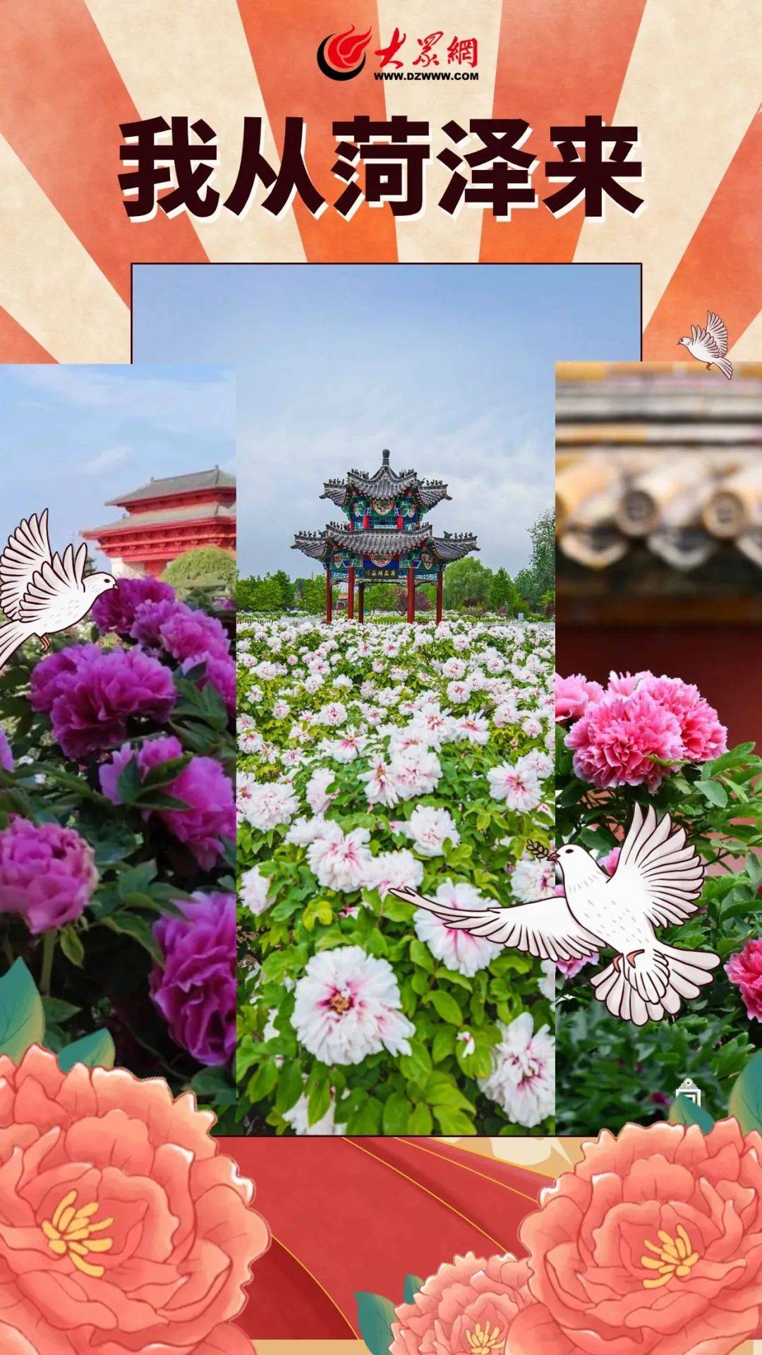 今天给菏泽打个广告