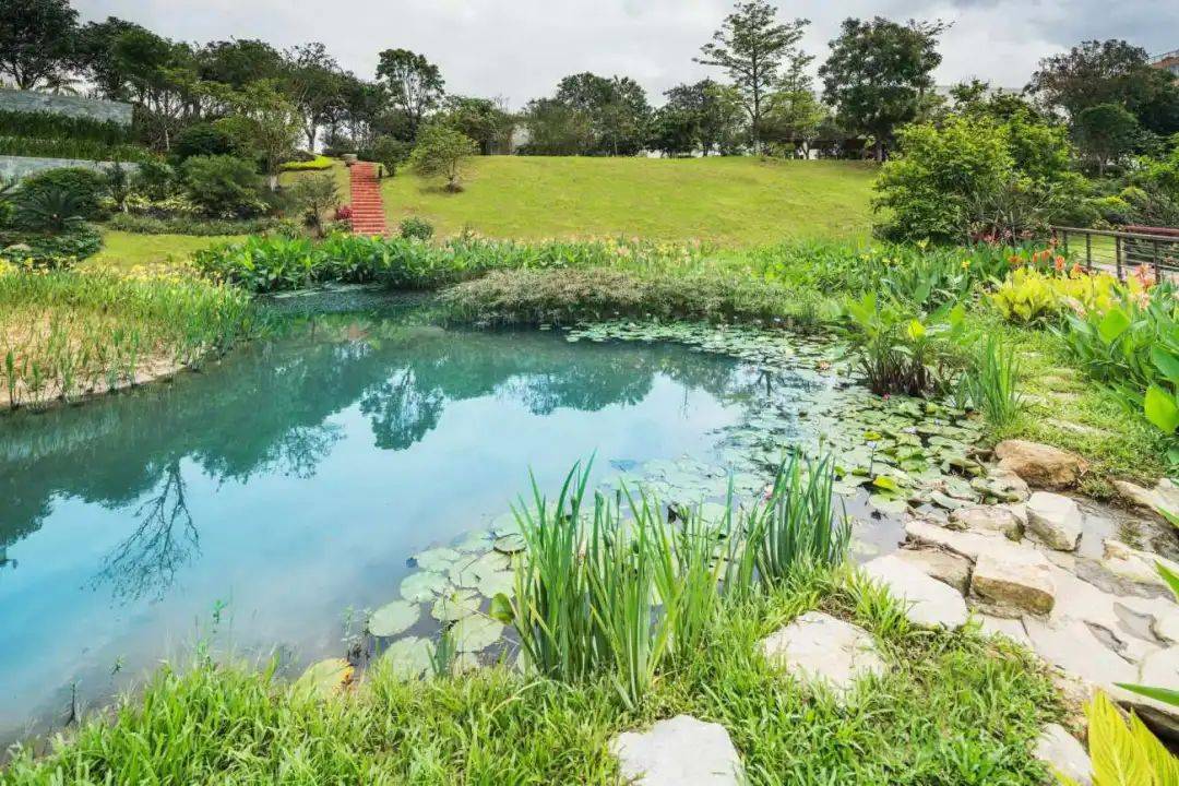 雨水生态景观设计