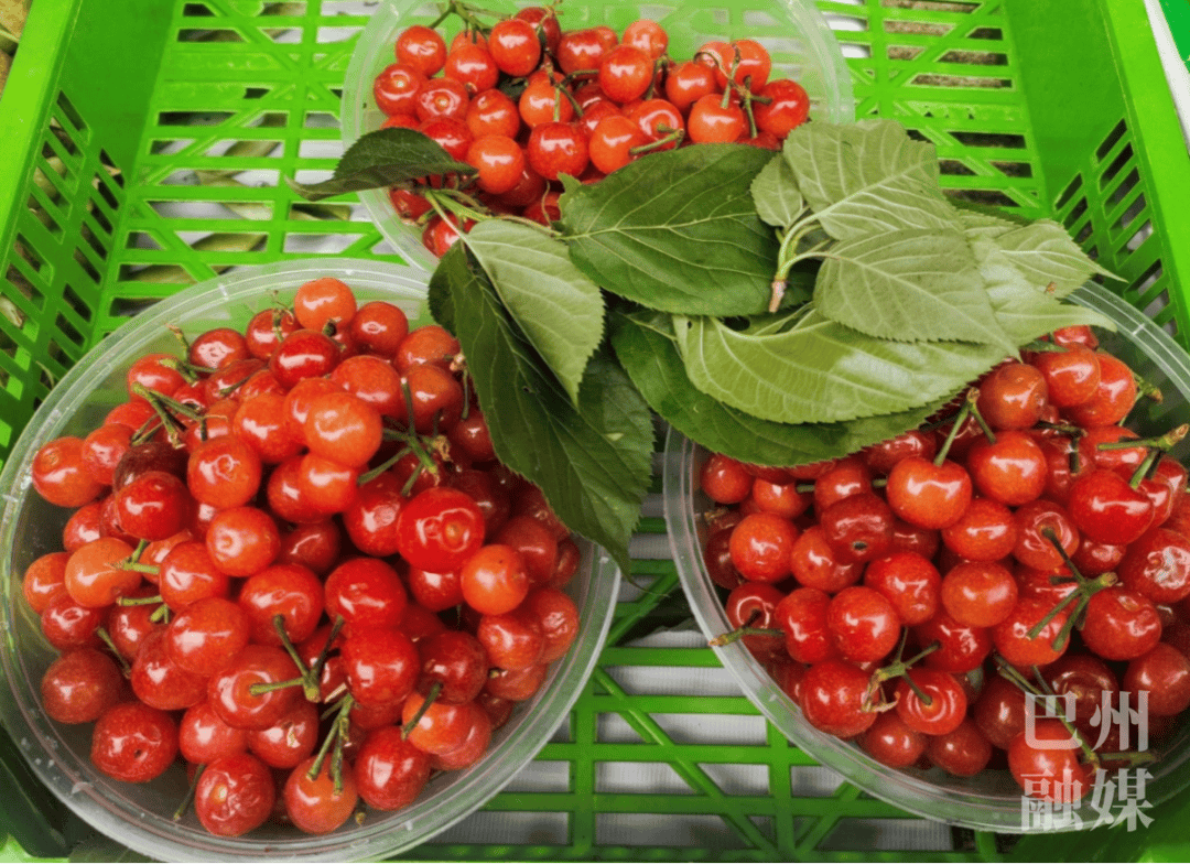 是时候了抿一口身娇肉贵的恩桃儿