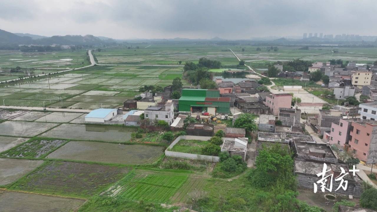 全省仅两个!阳东区北惯镇友瑜家庭农场入选全国典型案例