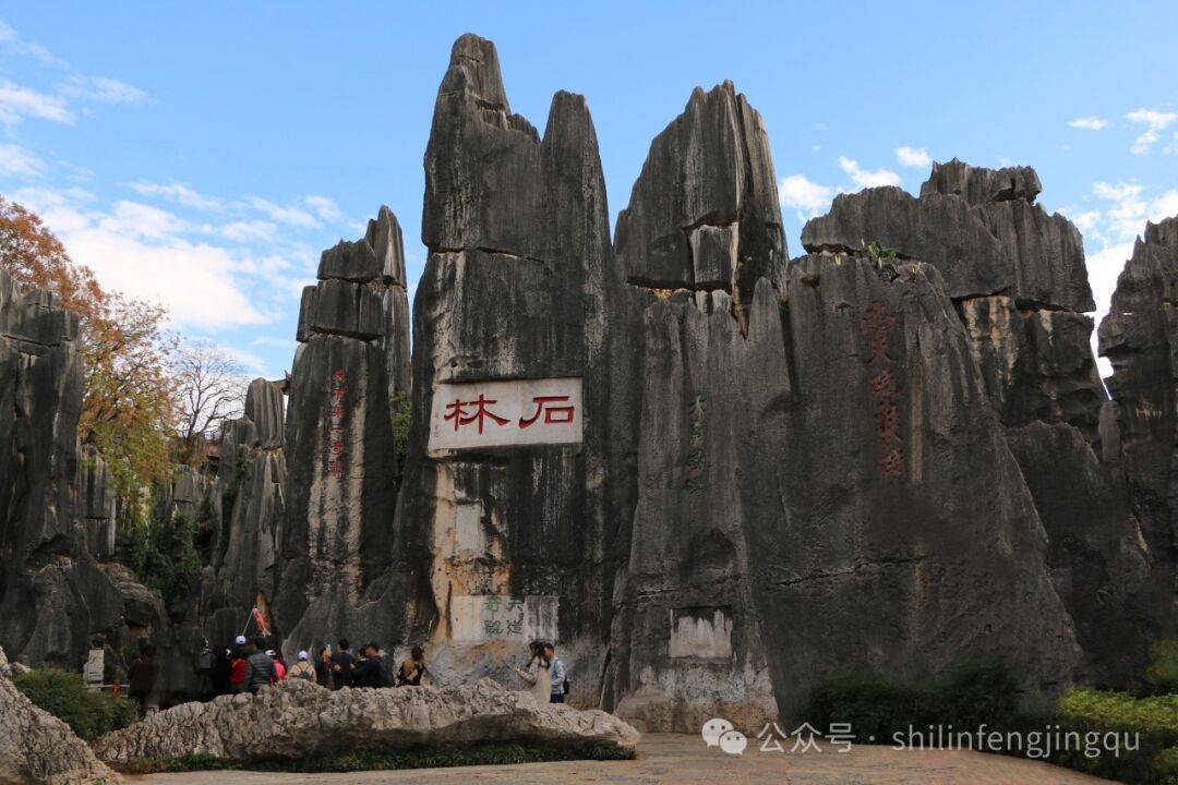 黄山石林风景区图片图片