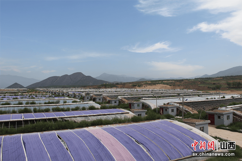 忻州五台现代农业产业示范走向园区化