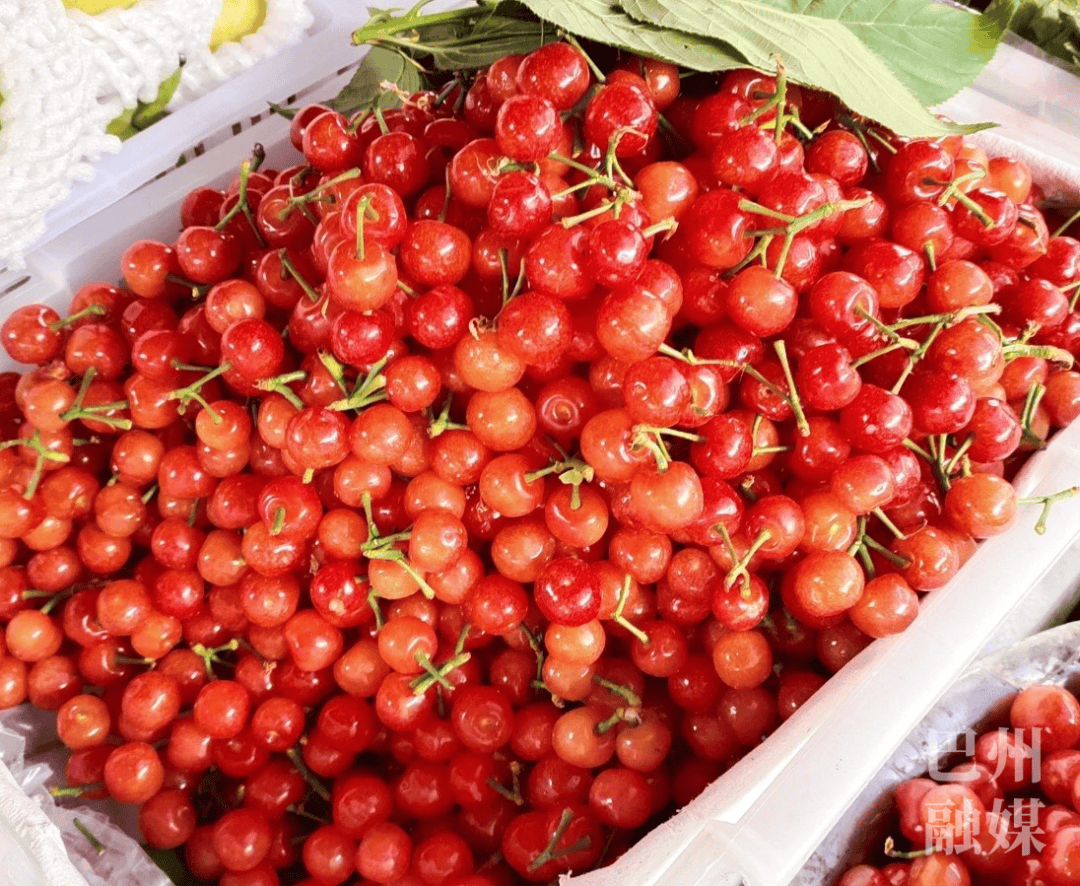 是时候了抿一口身娇肉贵的恩桃儿