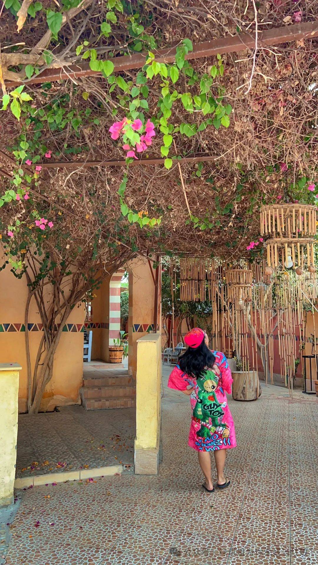 埃及14天自驾游攻略三卢克索神庙卡纳克神庙热气球帝王谷