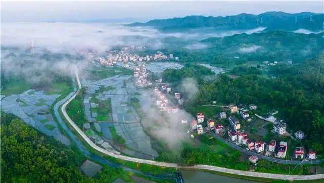 云瞰汕尾·纵览河口|"镇"当其时_发展_产业_沉香