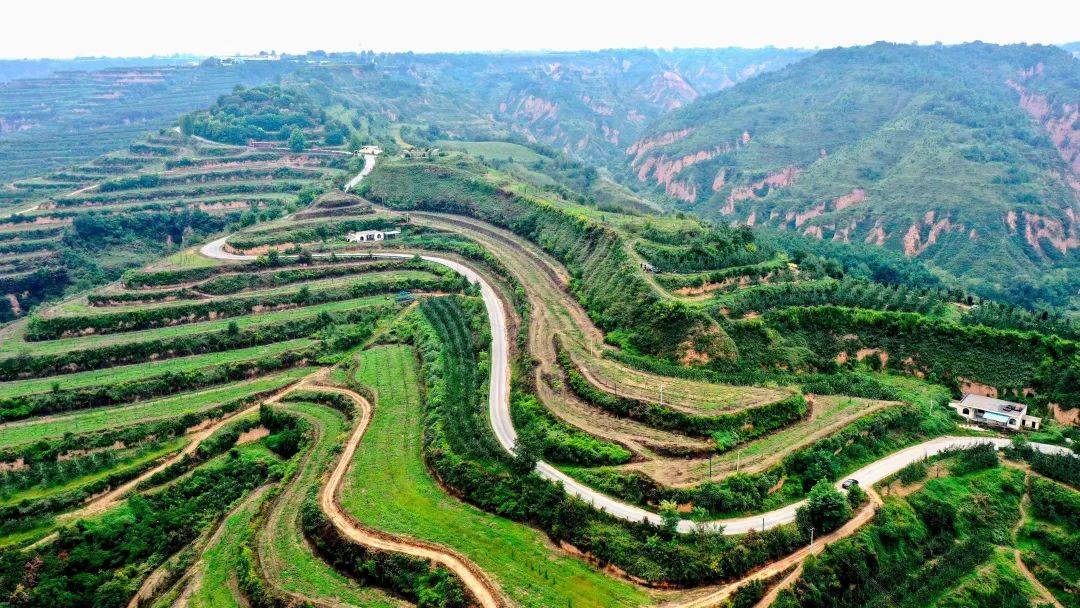 黄陵县田庄镇成功入选2024年农业产业强镇项目拟立项名单