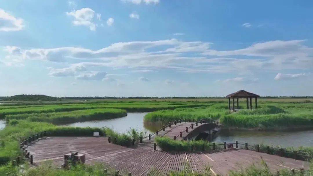沧州12条乡村线路等你畅游