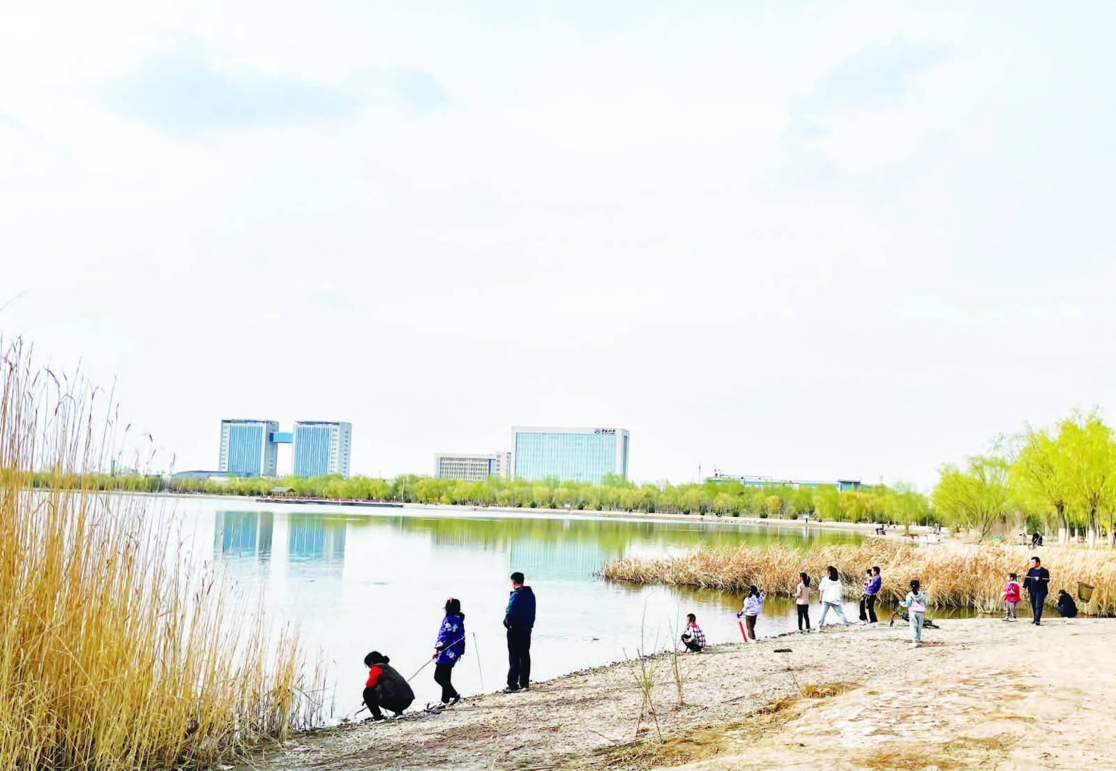 金水湖国家湿地公园风光旖旎,假日里人们纷纷来到湖畔踏青游玩,尽情