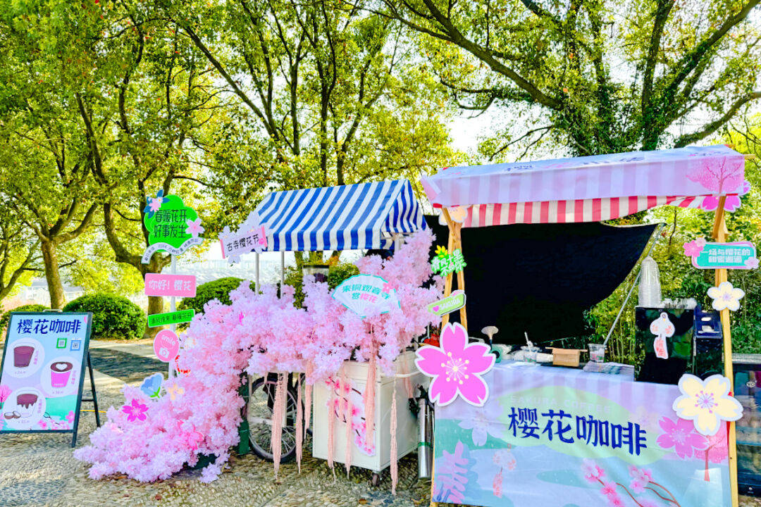 美哭千株晚樱盛开一起花式打卡