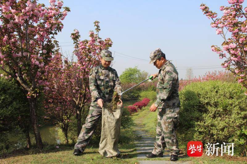 张家港经开区杨舍镇百家桥村退伍不褪色垃圾分类先锋行
