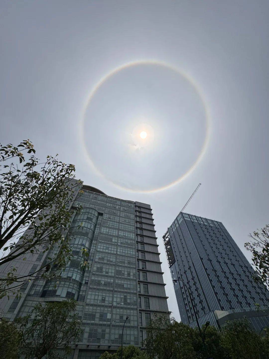 广东多地出现绝美"日晕"_深圳_广州_珠海