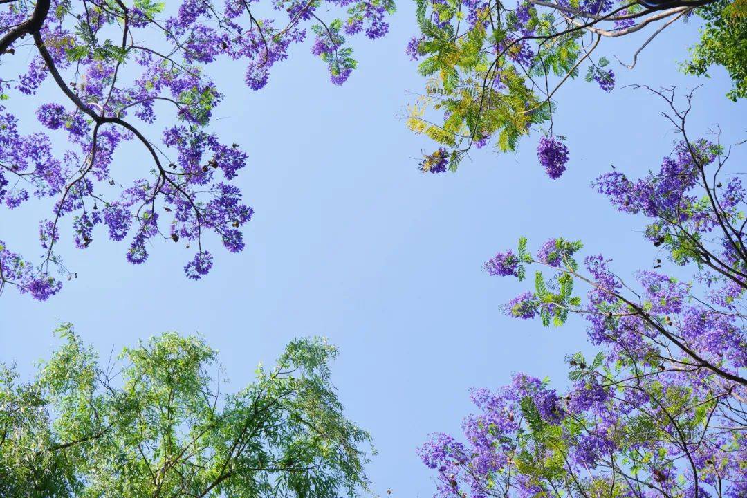 暖暖花城 慢漫生活 