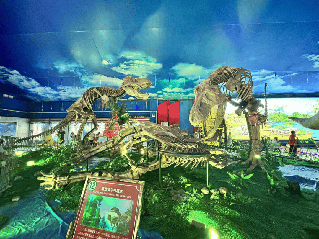 五三61研学实践感悟自然生命探秘远古恐龙基础学部2021级5班诸城