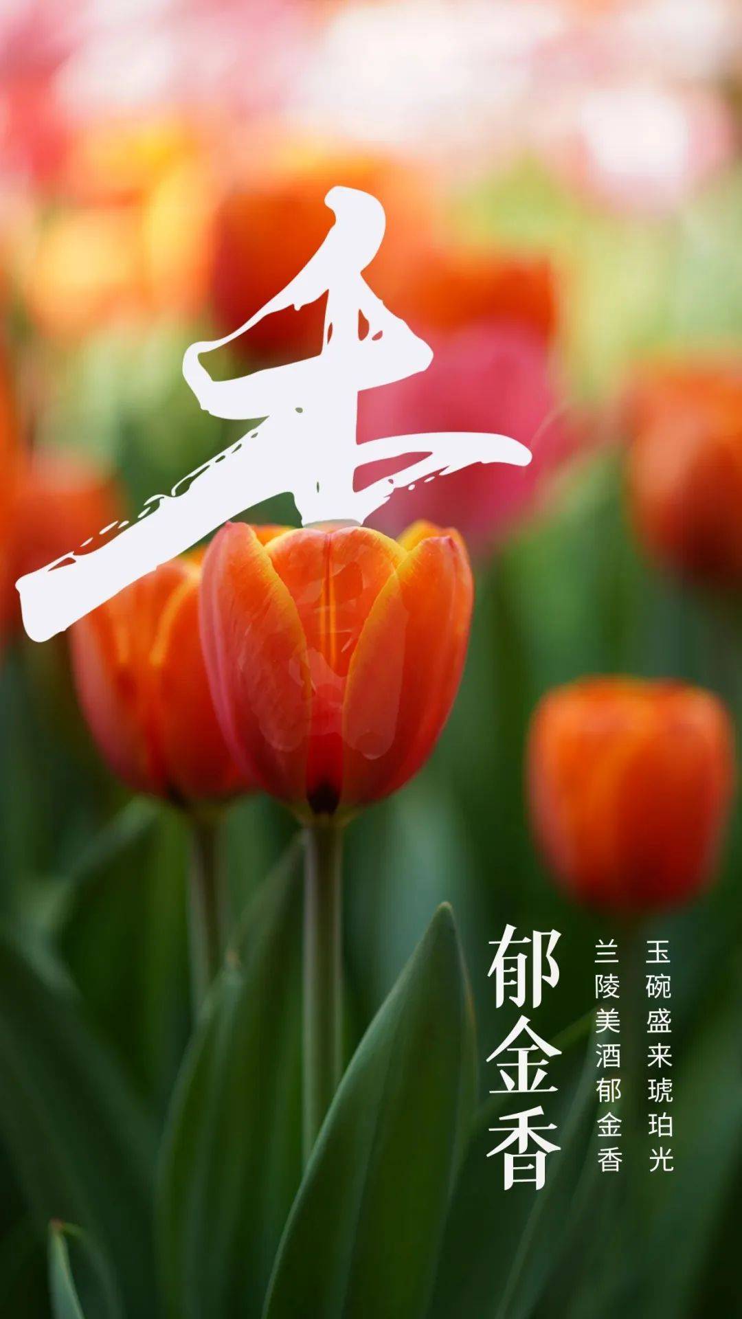 【"慧"文化】收下这份限时浪漫!用汉字打开春天