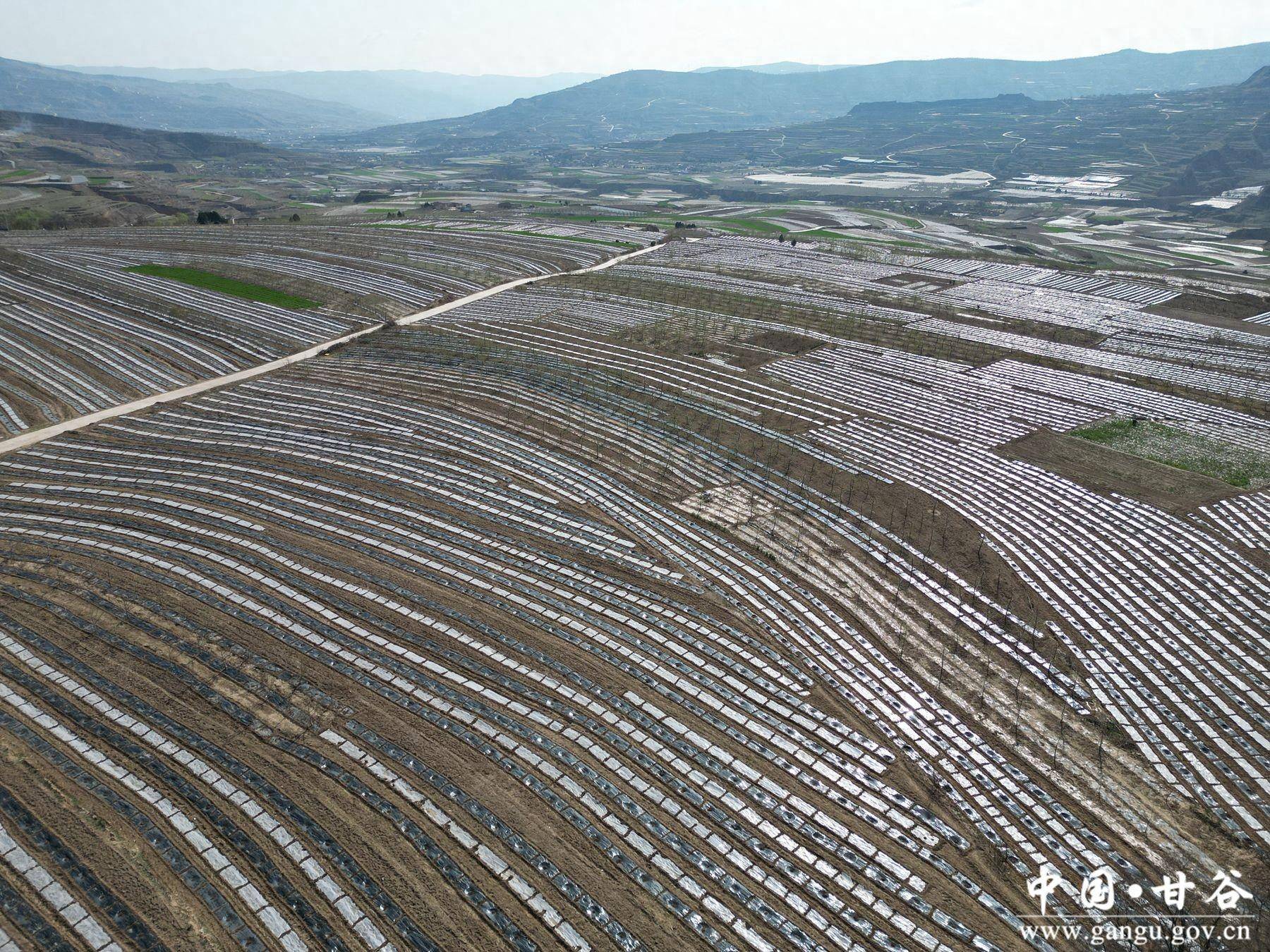 谢家湾乡:抢抓"春机" 提质改造低产果园