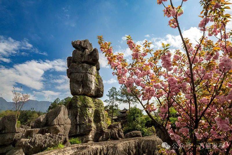 万盛旅游景点大全图片