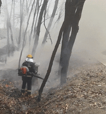 03据新民晚报报道,3月17日上海金山区一居民家发生火灾大量黑烟弥漫经