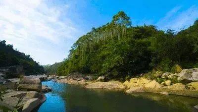 景奇而闻名成为广东独具特色的"国家aaaa级旅游景区"步入奇石河景区