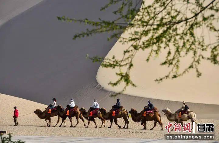 中央媒体看甘肃敦煌春暖大漠花开鸣沙山