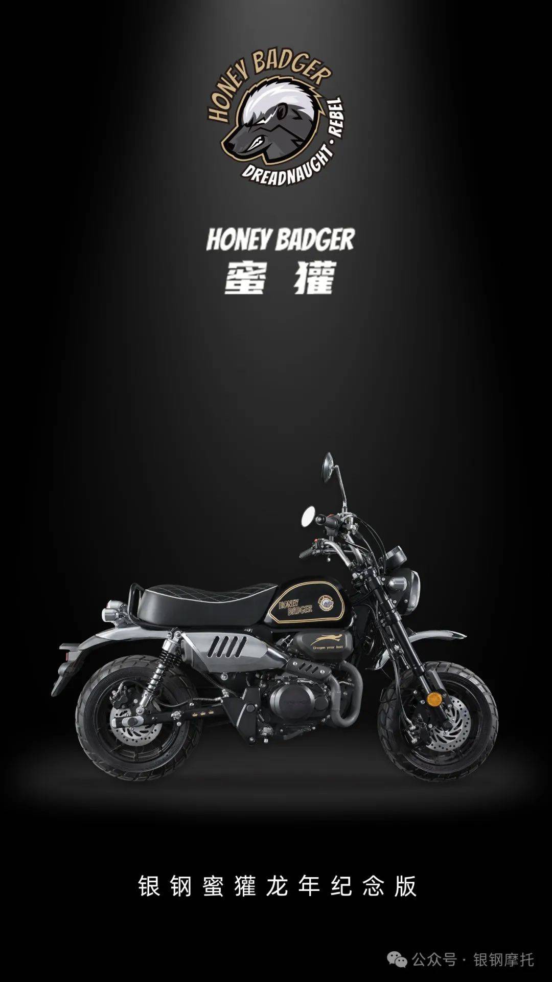 银钢蜜獾龙年纪念版荣耀上市!_搜狐汽车_搜狐网