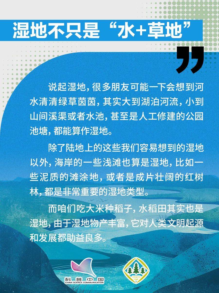 科普小知识丨湿地不止是水草地