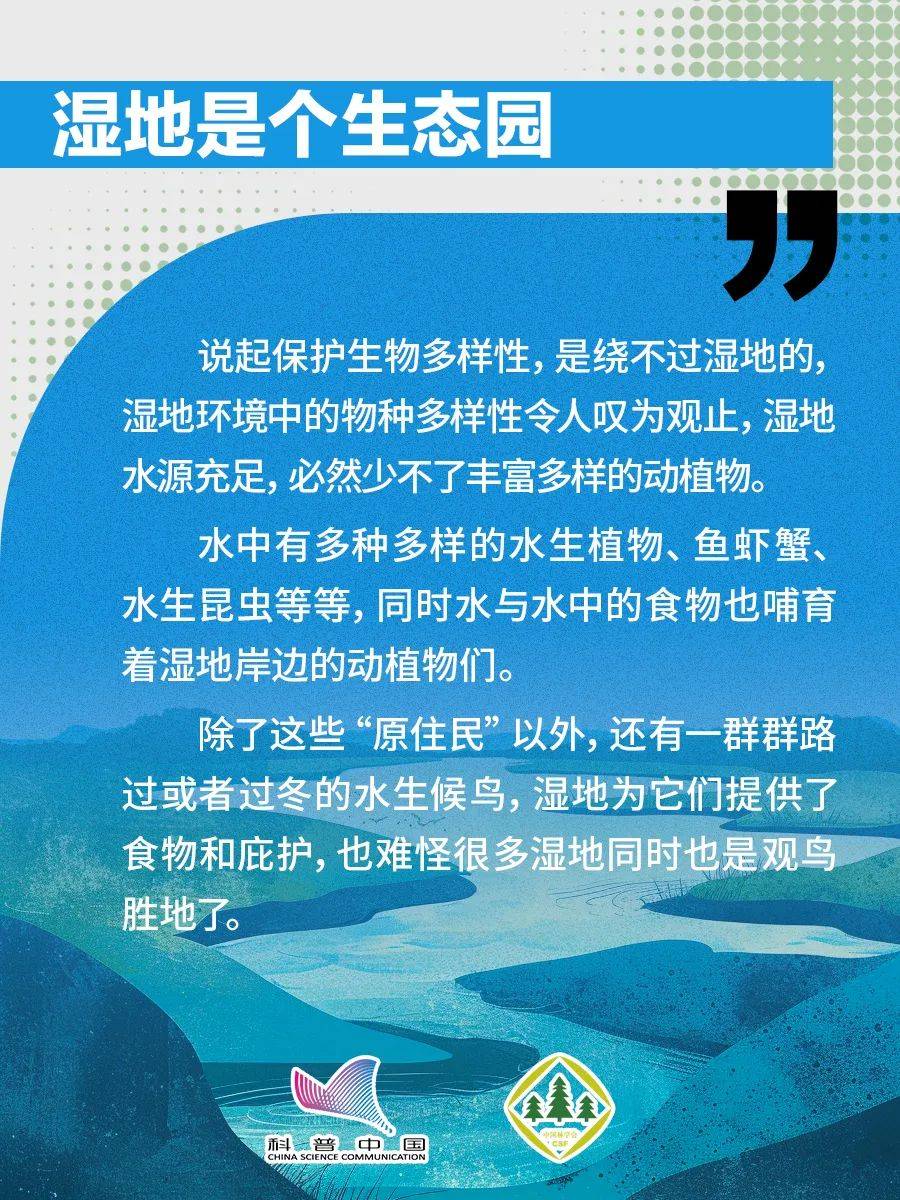 科普小知识丨湿地不止是水草地