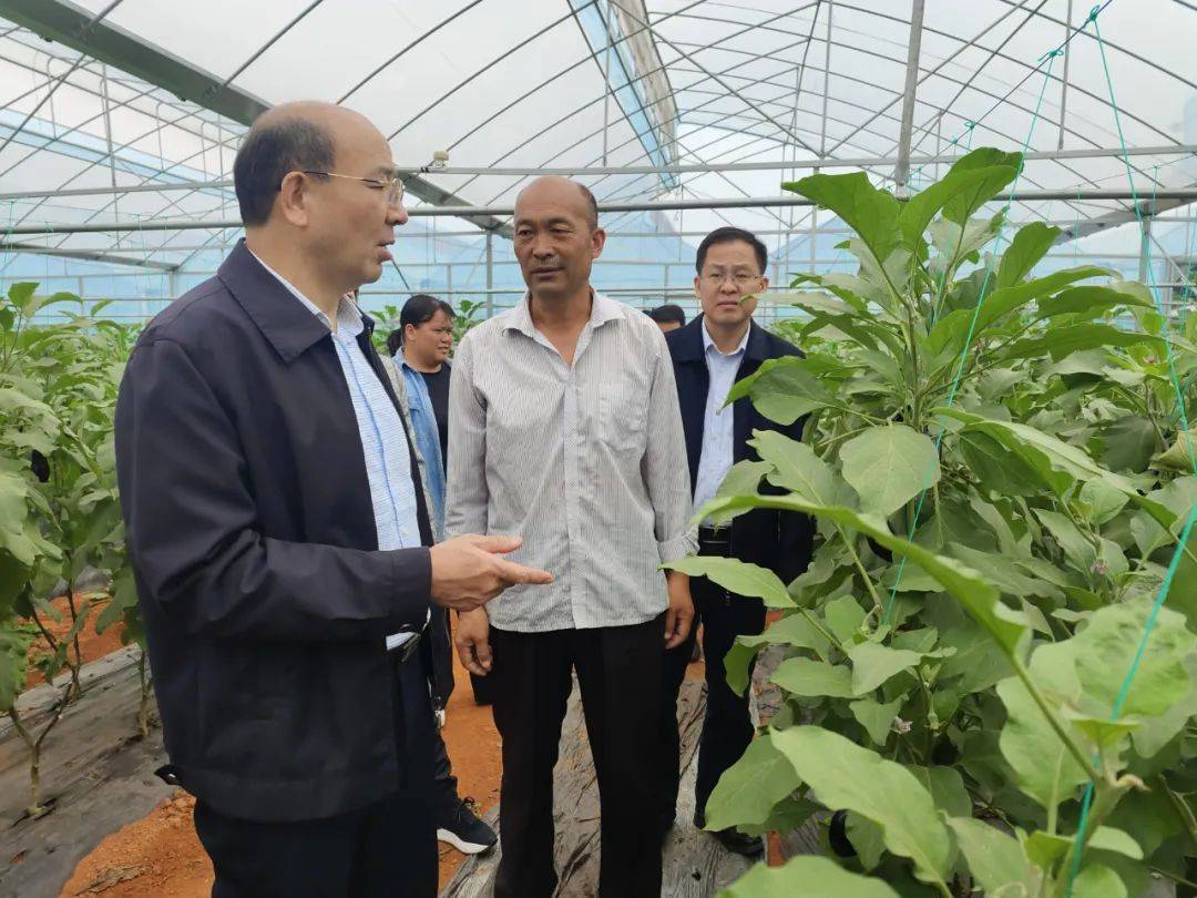 韦平到武宣开展乡村振兴调研等工作