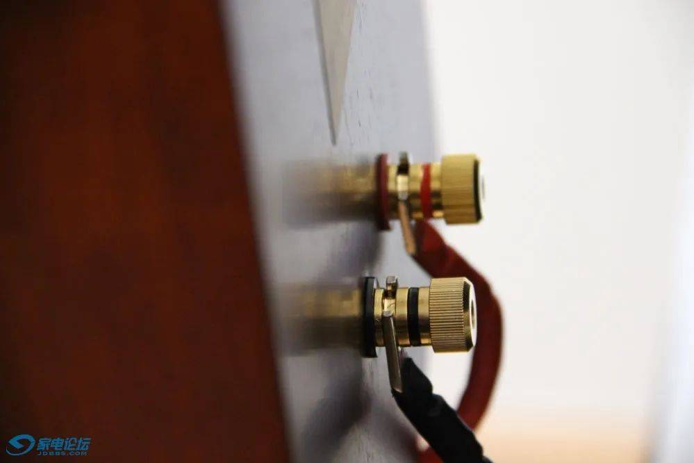 声音温暖厚实古朴优雅的平价音乐小精灵乐富豪superdento