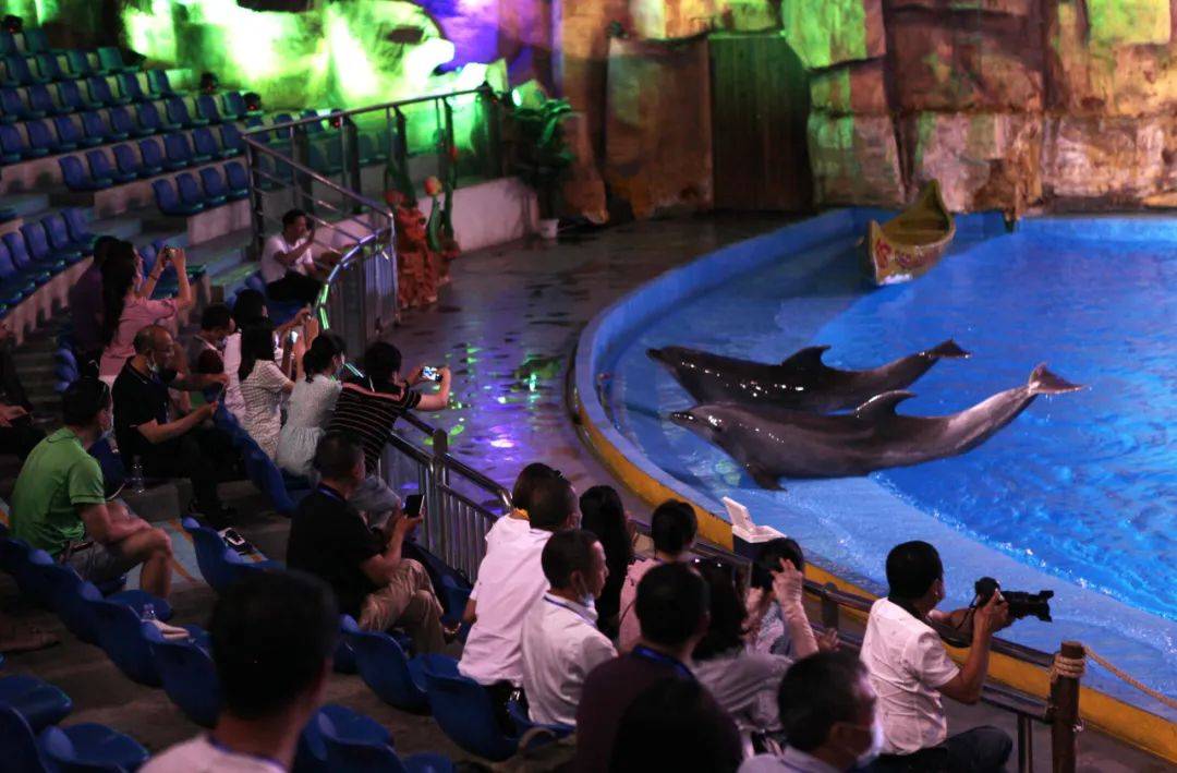 热爱"海洋精灵"的孩子,一定很可爱(超值套票)_海豚_乐都_活动