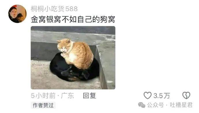 迷惑行為大賞)博主:我就低头挤个鞋带,罪不至死吧!