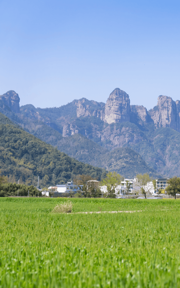 蓄势待发雨水将再次登场本周后期永嘉天气