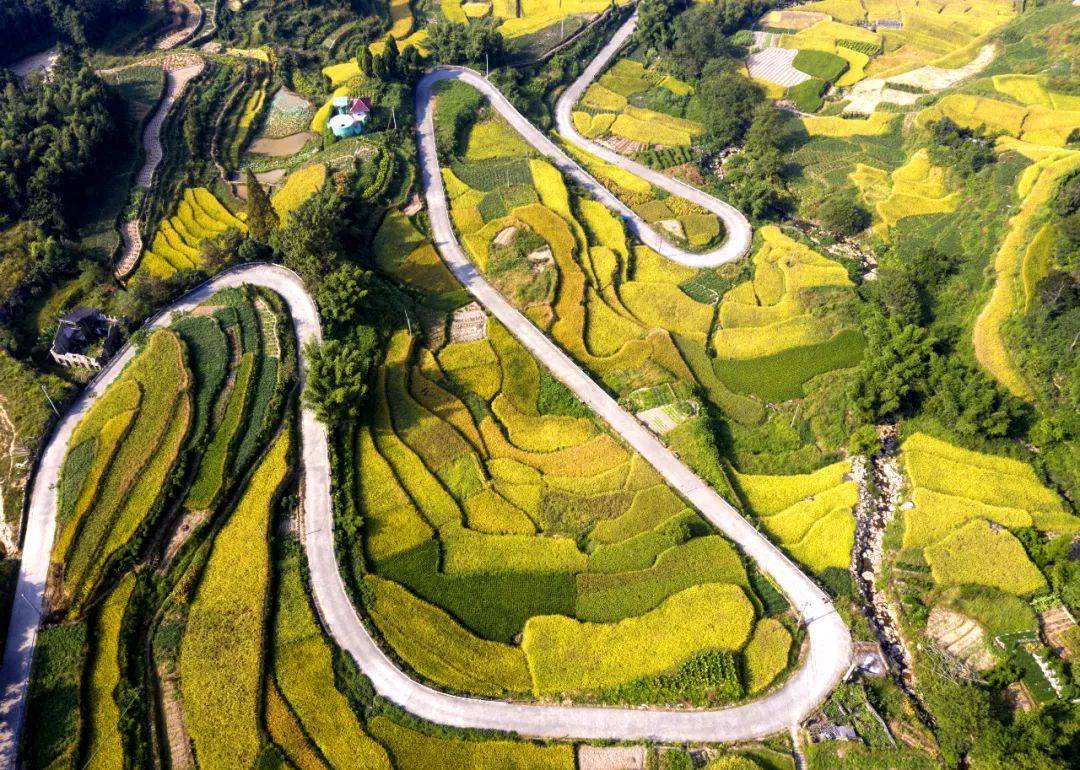 农村致富门路百度网盘(原来农村有这么多致富门路啊)