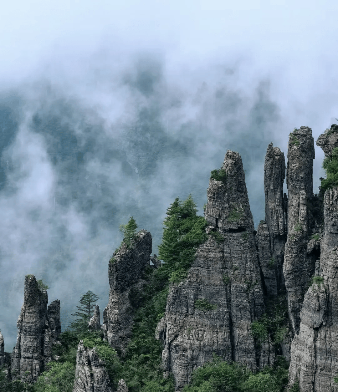 神农顶风景区在神农架西南部的自然保护区内,总面积约883